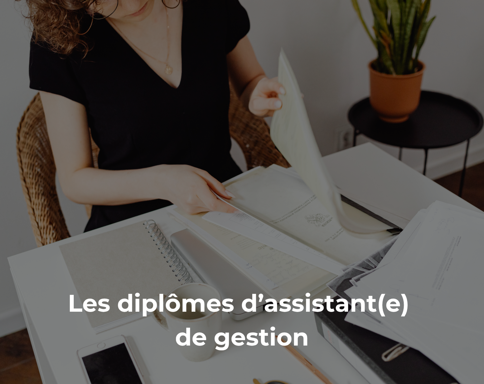 Les diplômes d’assistant(e) de gestion
